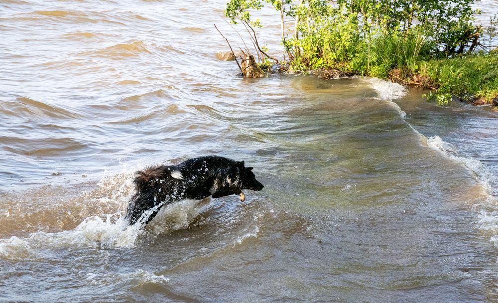 Photograph by Людмила Заботина