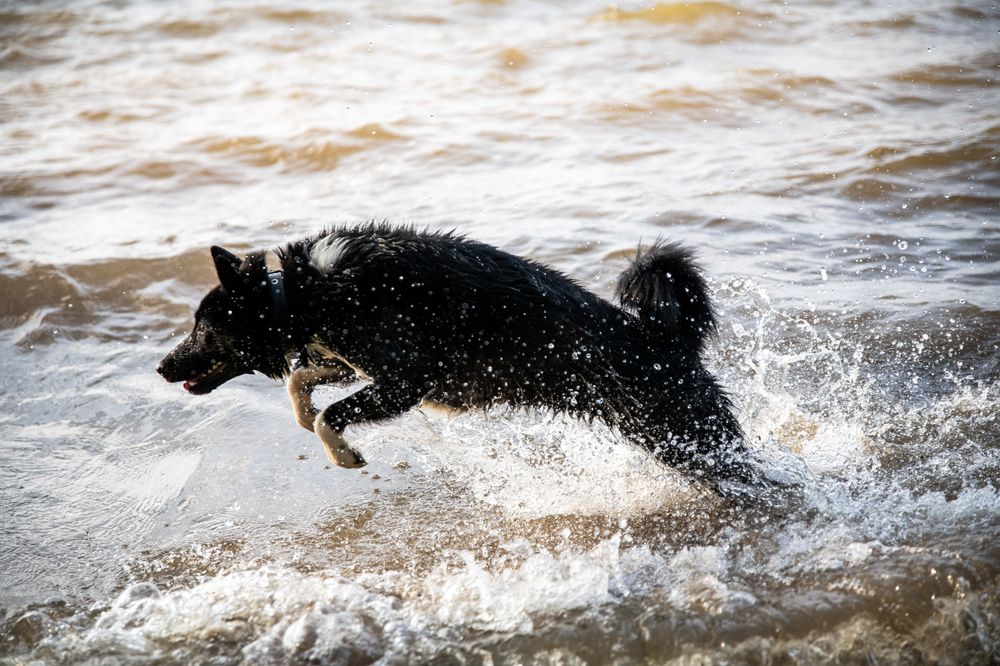 Photograph by Людмила Заботина