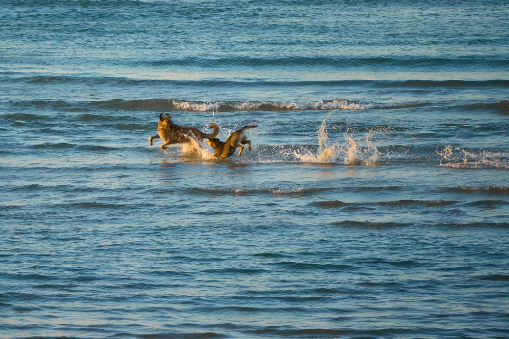 Фотография автора Денис Гарусов