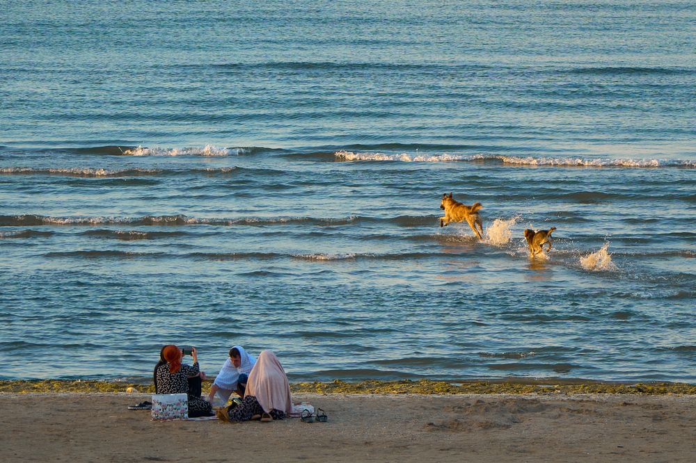 Фотография автора Денис Гарусов
