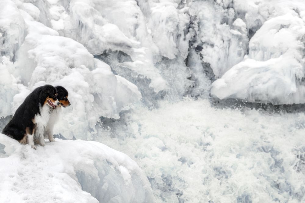 Photograph by Зубкова Юлия