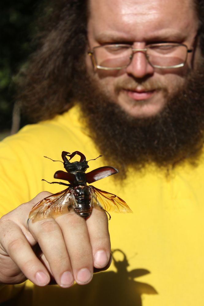 Спасатель жуков-оленей