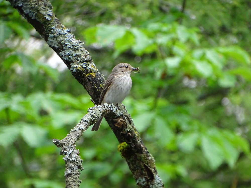 Photograph by Ирина