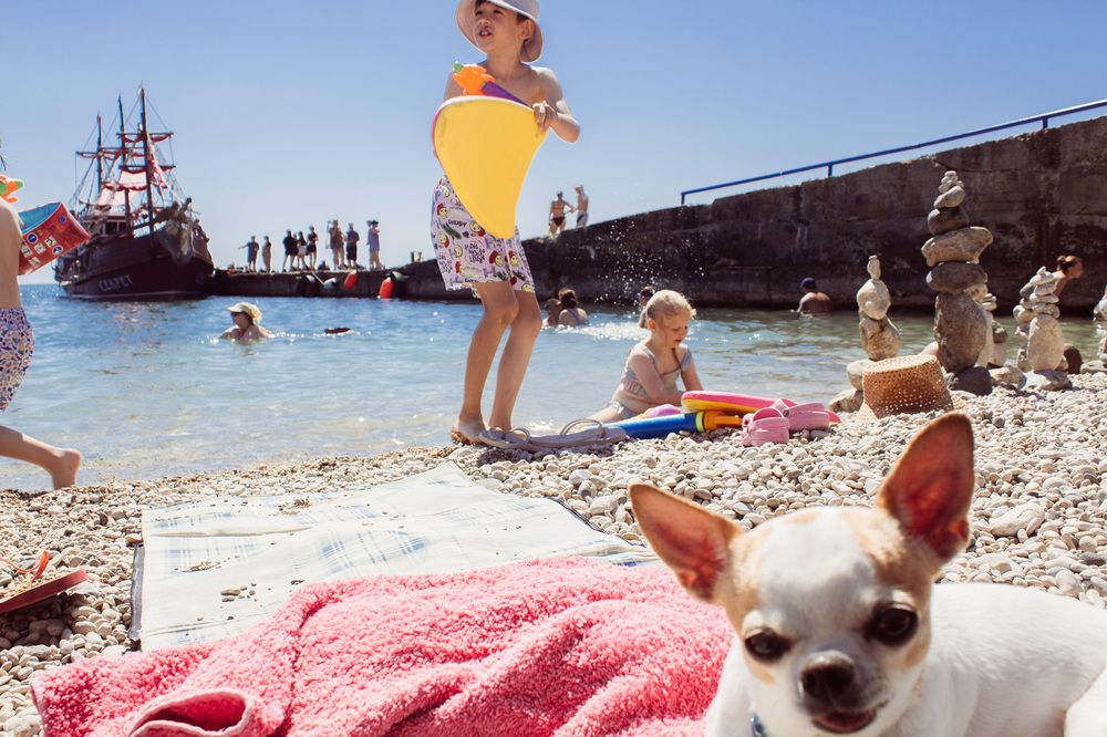 Photograph by Юлия Черкасова