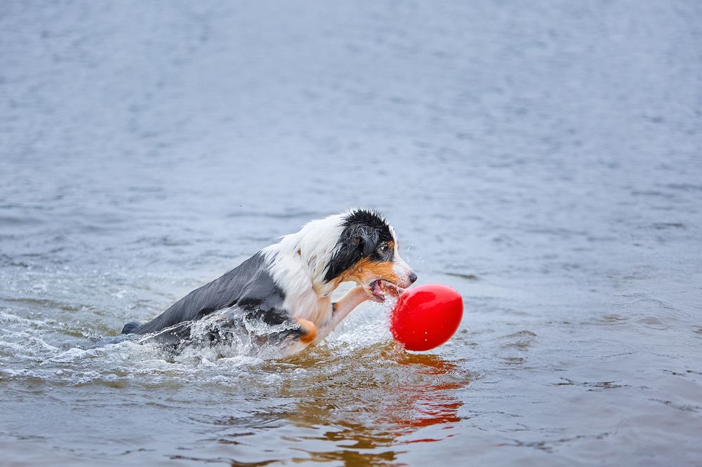 Photograph by Наталья Мячикова