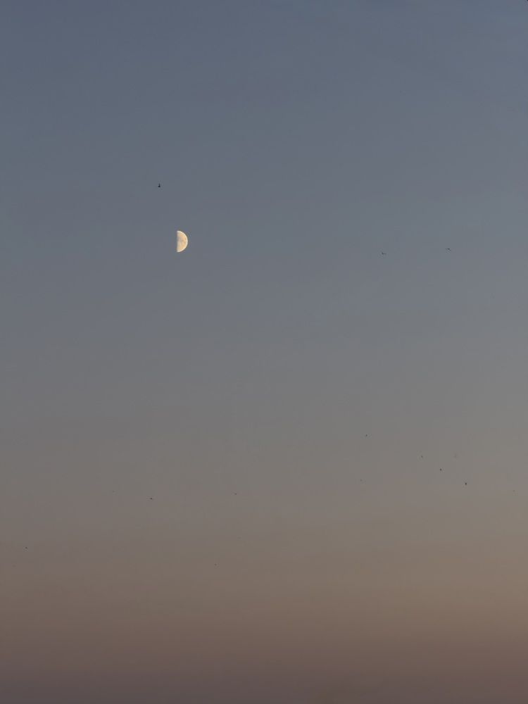 Photograph by Анна Пигулевская