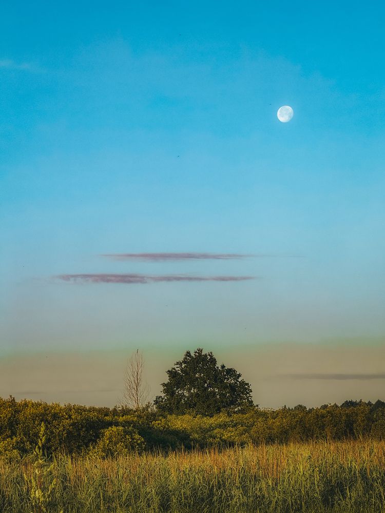 Photograph by Анна Пигулевская