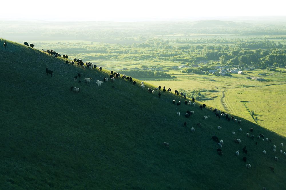 Photograph by Андрей Пучков