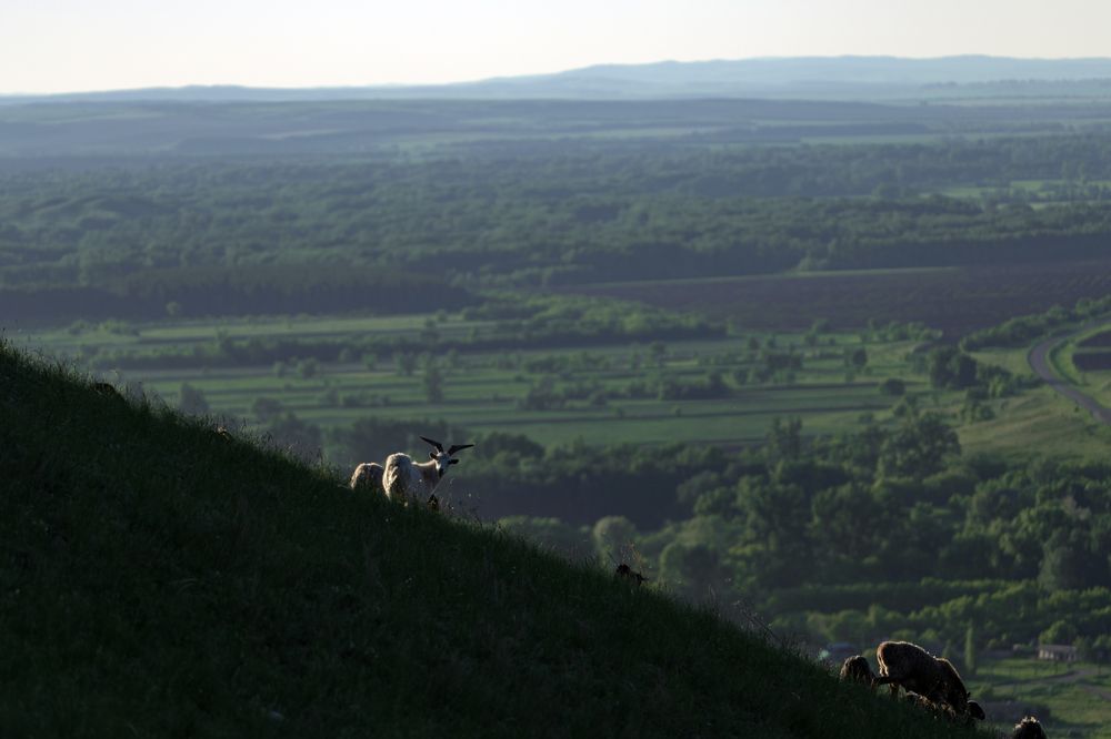 Photograph by Андрей Пучков
