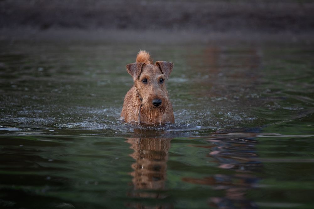 Photograph by Лилия Наконечная