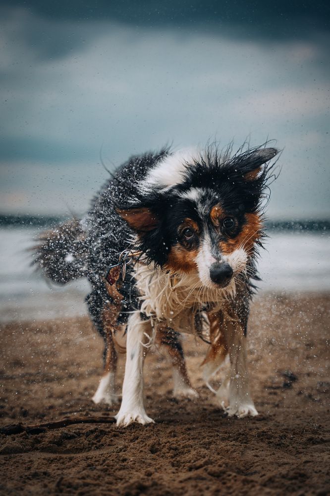 Photograph by Gabriela Galinska