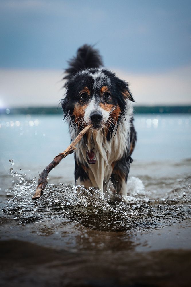 Photograph by Gabriela Galinska