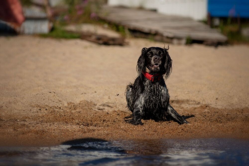 Photograph by Марина Зборацкая