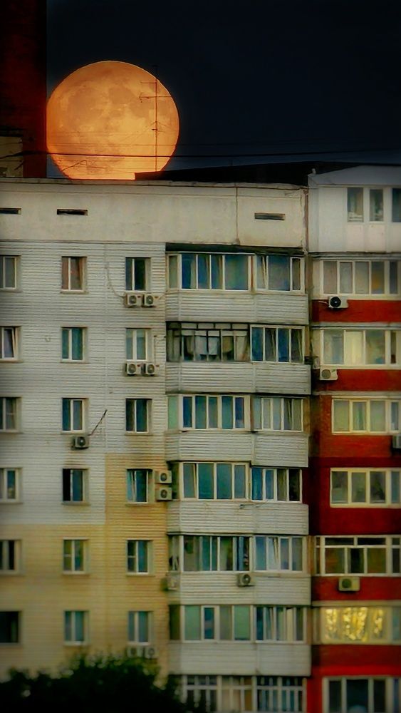 Фотография автора Анна Немчинова
