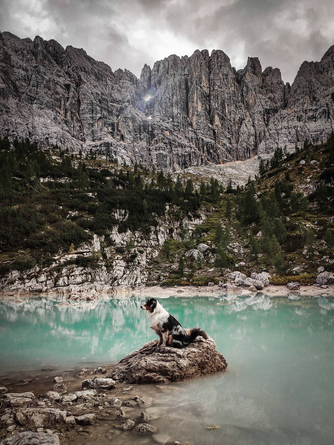 Фотография #12446348