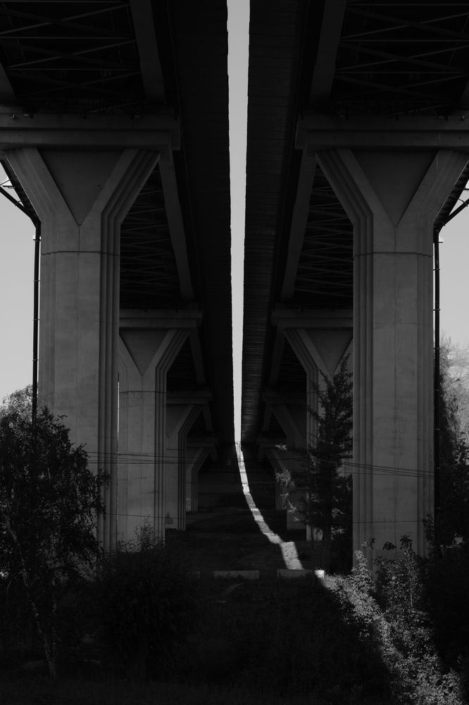 Фотография автора Александров Алексей