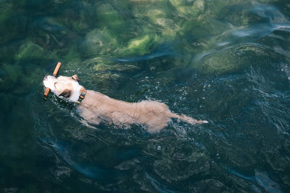 Photograph by Hakan Tunc