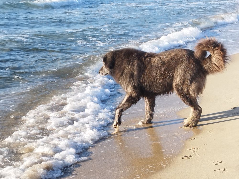 Photograph by Ljiljana Nedeljković