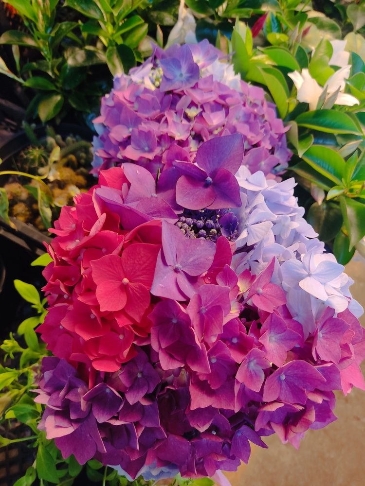 Photograph by Наталья Билай