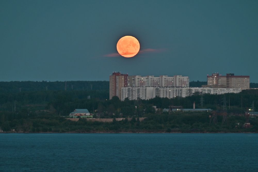 Photograph by Сергей Зубов