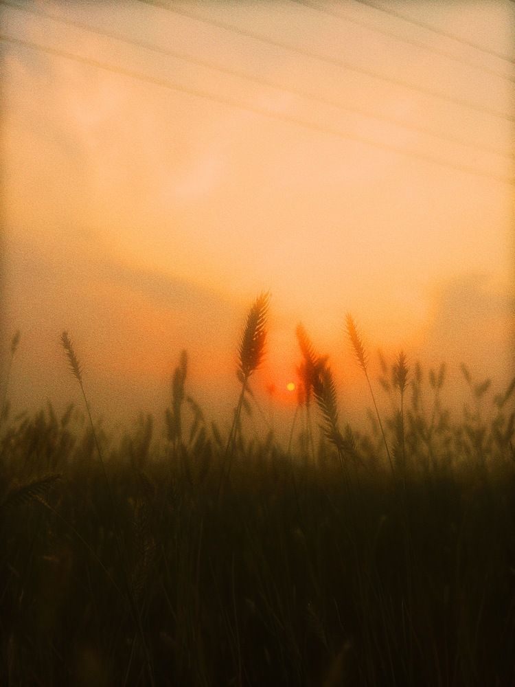 Photograph by Faden Simon