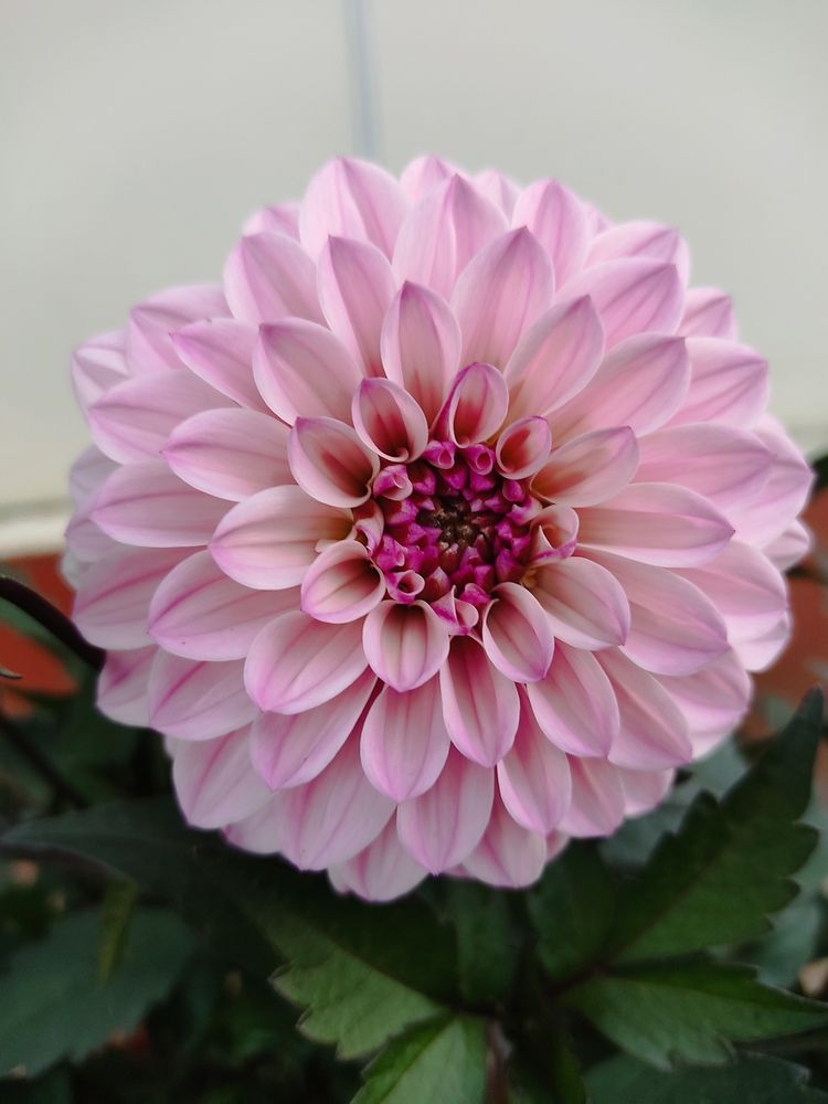 Photograph by Наталья Билай