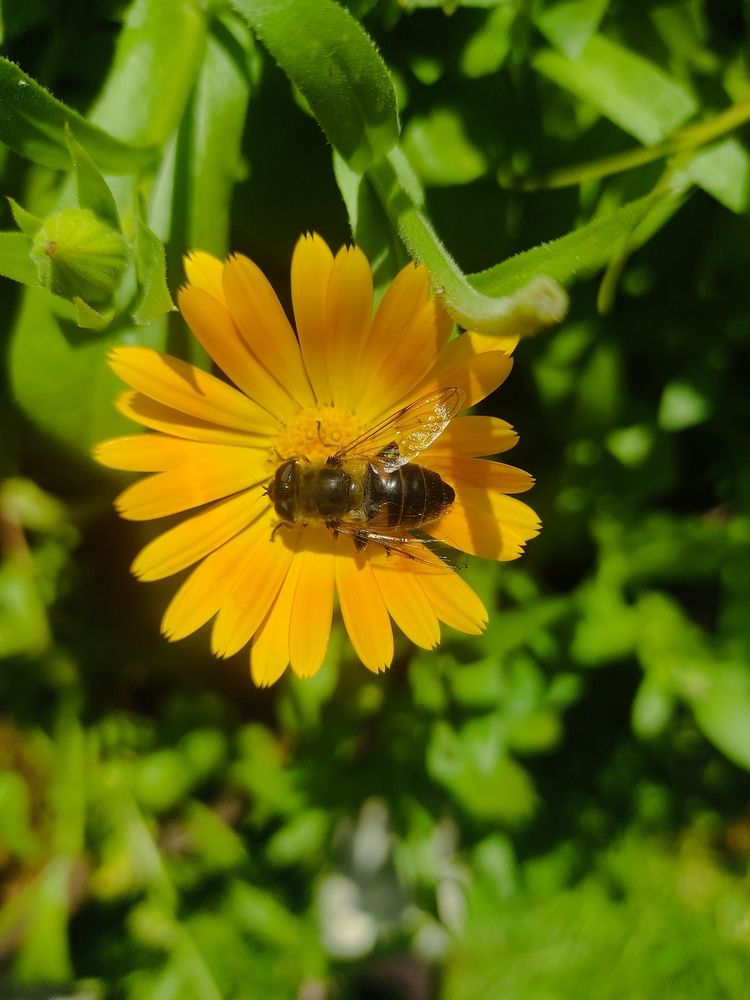 Photograph by Наталья Билай