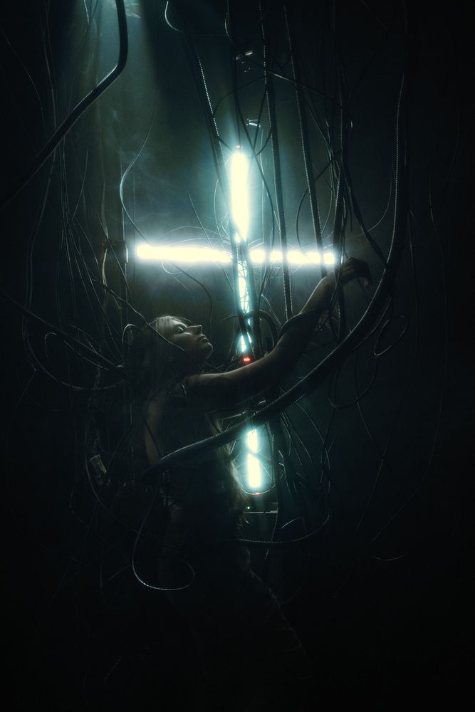 Фотография автора Никитин Александр