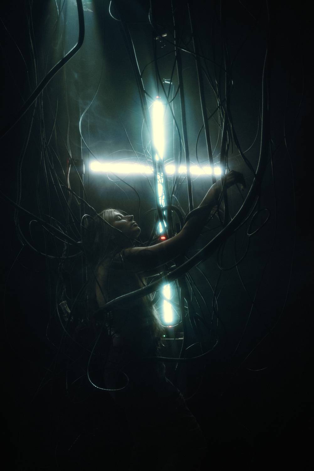 Фотография #12446598