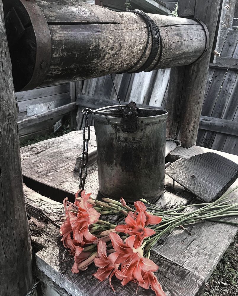 Photograph by Ирина Гаврилова