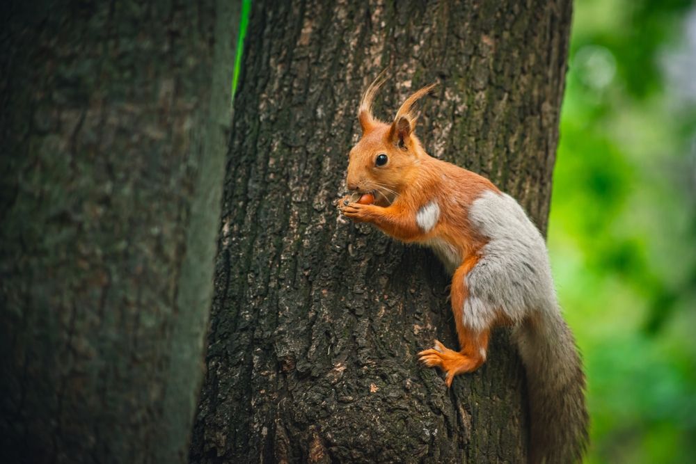 Photograph by Алексей