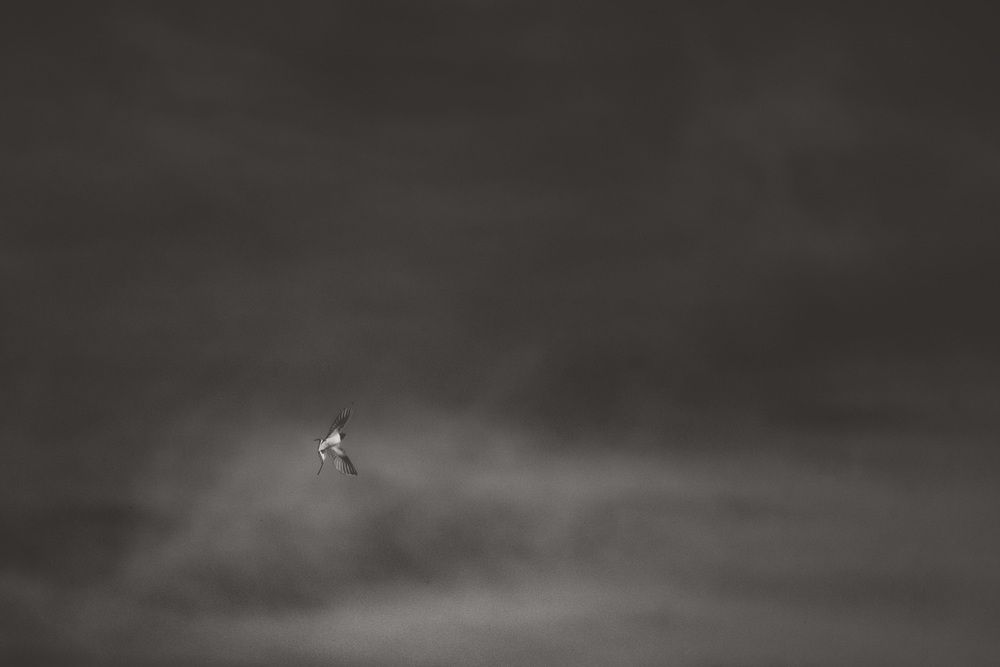 Photograph by Алексей