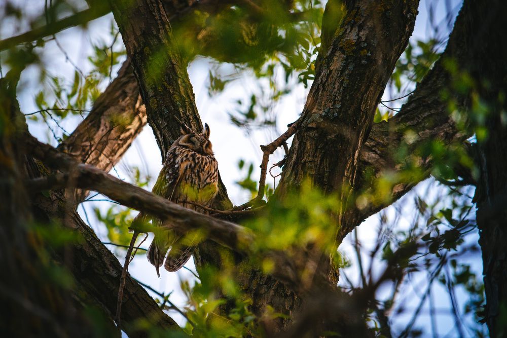 Photograph by Алексей