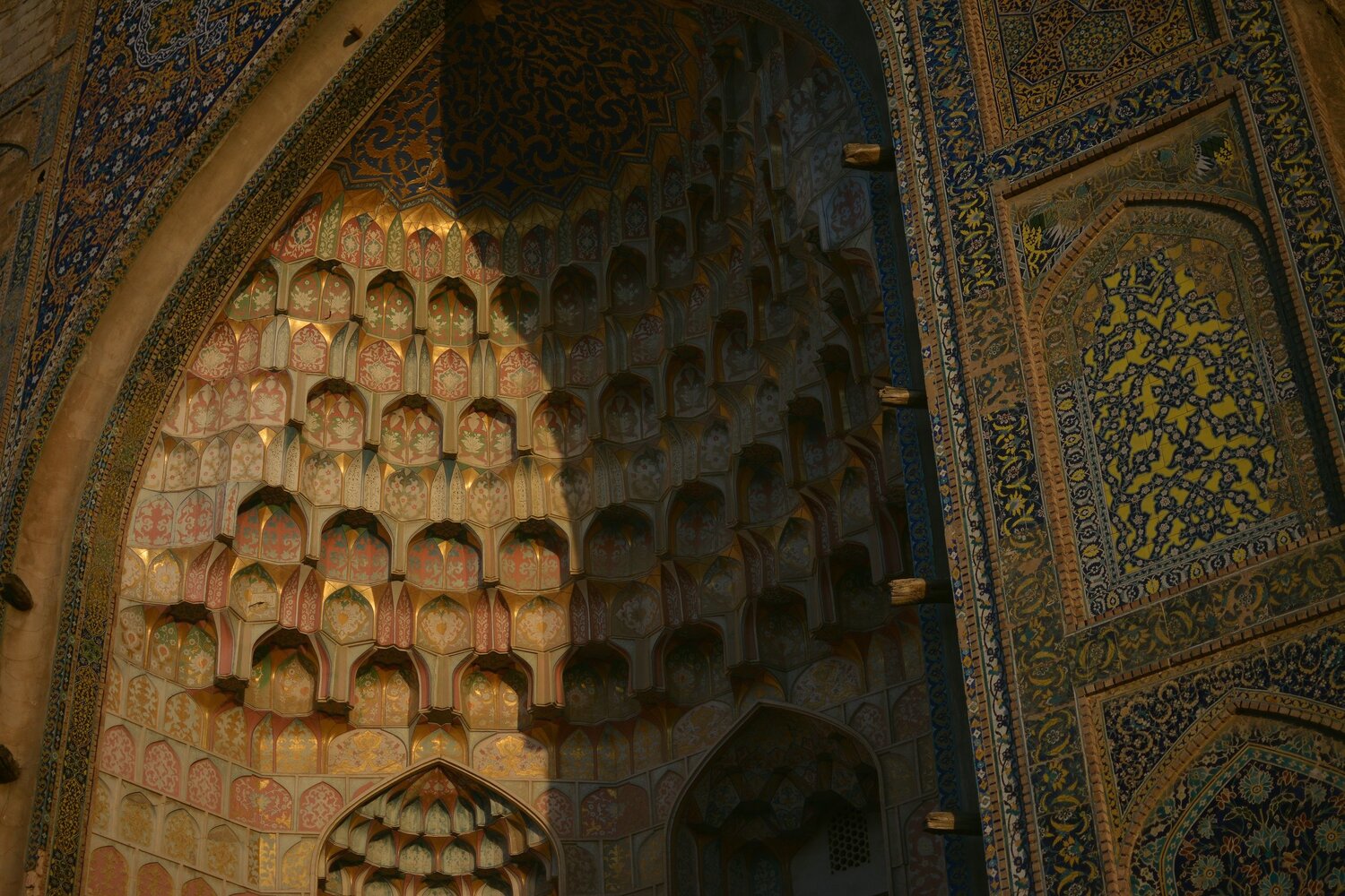 Photo #12446665