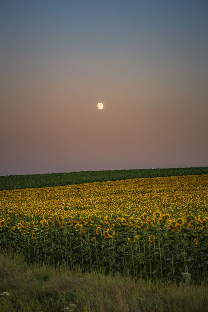 Photograph by Филипп Бабенко