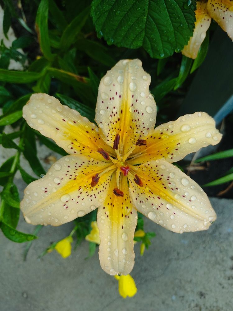 Photograph by Наталья Билай