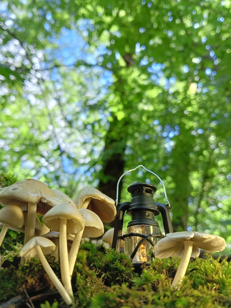 Photo #12446862