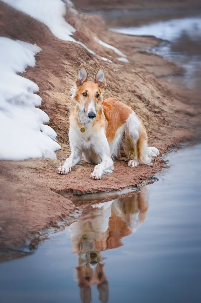 Photograph by Aneeri