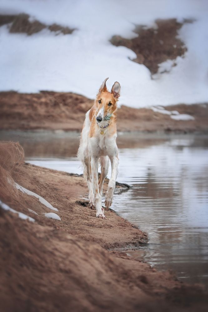 Photograph by Aneeri