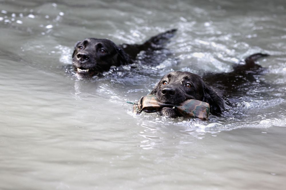 Photograph by Elena Guseva