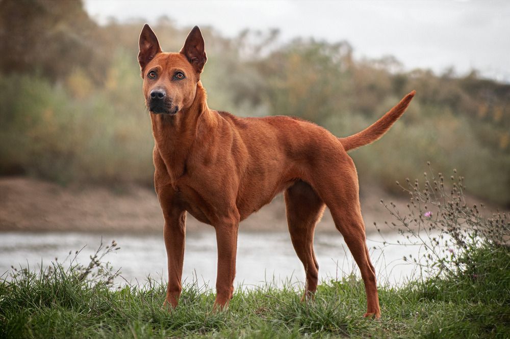 Photograph by Sofiia Lapta