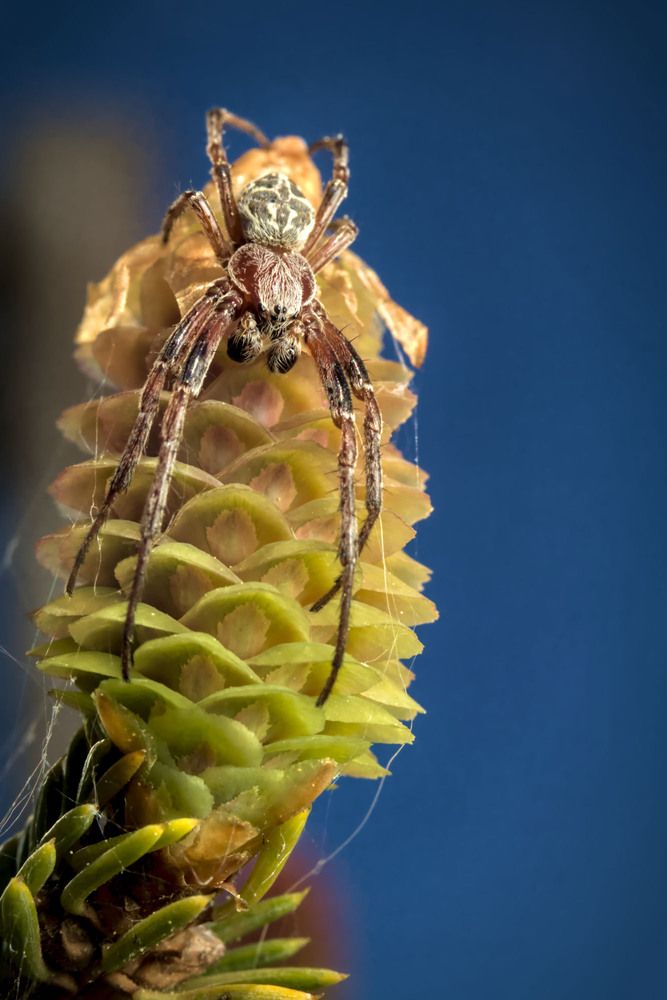 Фотография автора Сергей Назаредский