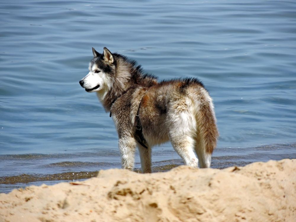 Photograph by Михаил Малец