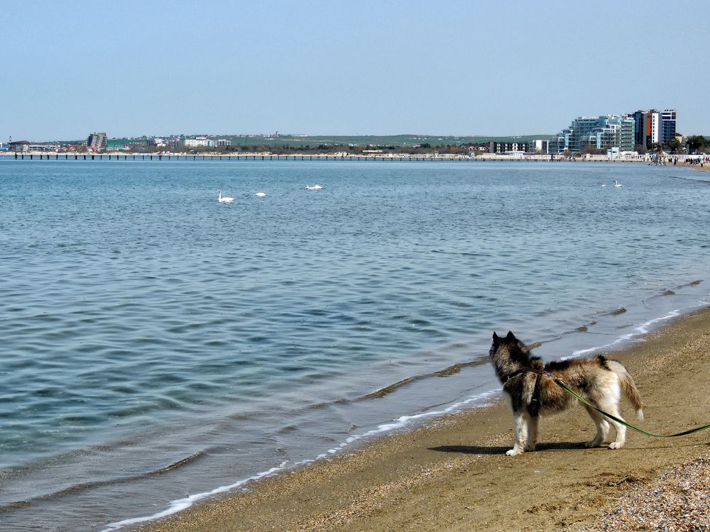 Photograph by Михаил Малец