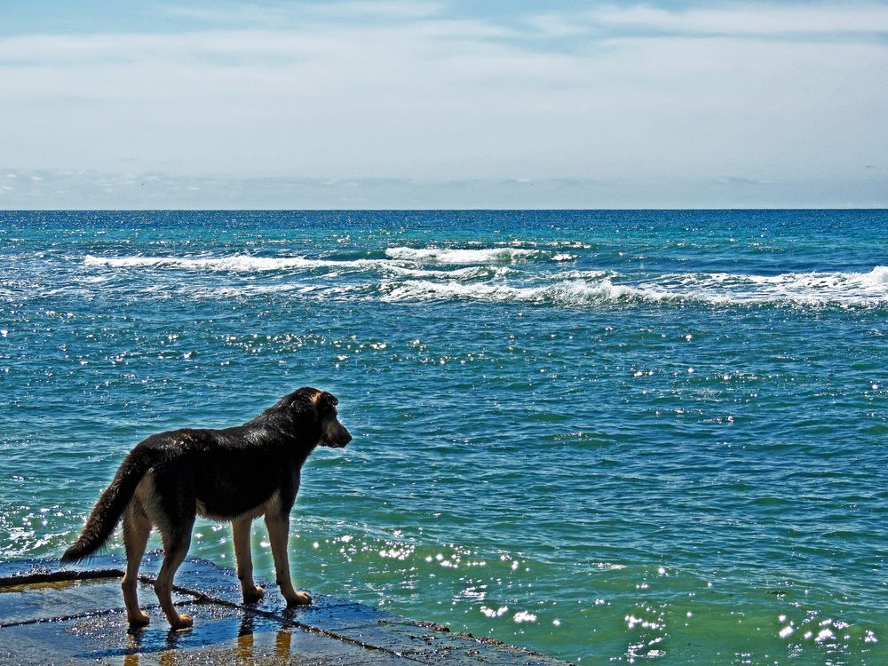 Photograph by Михаил Малец