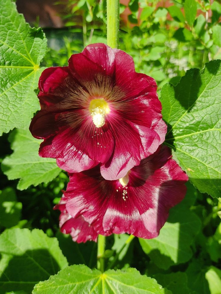 Photograph by Наталья Билай