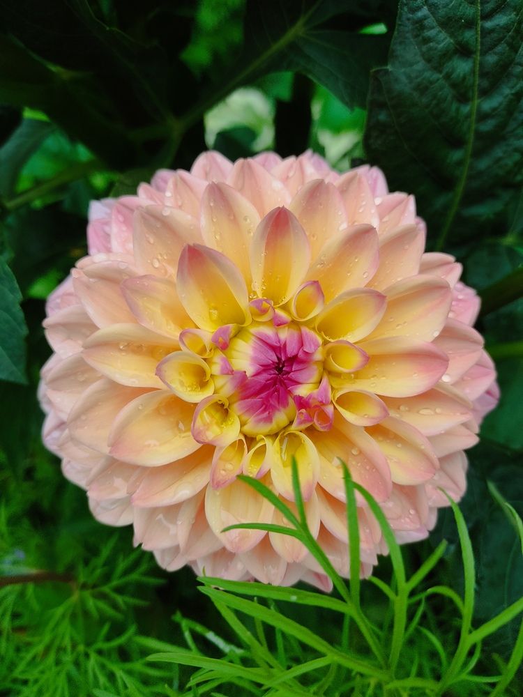 Photograph by Наталья Билай