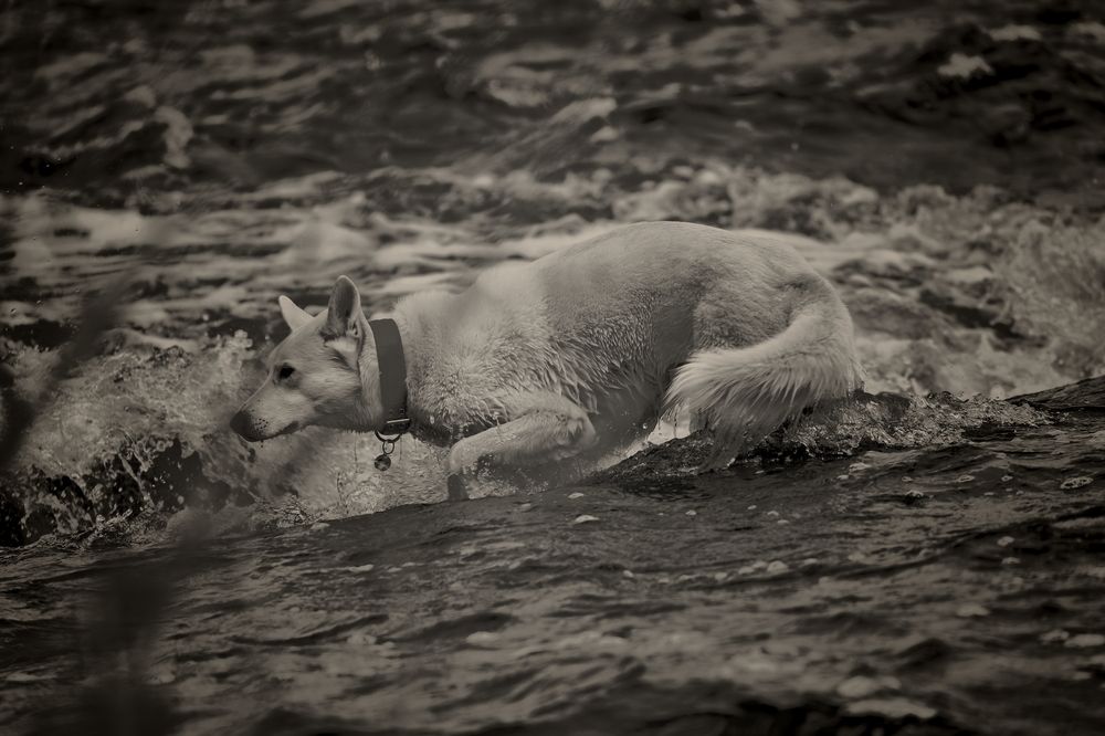 Photograph by Yana Egorova