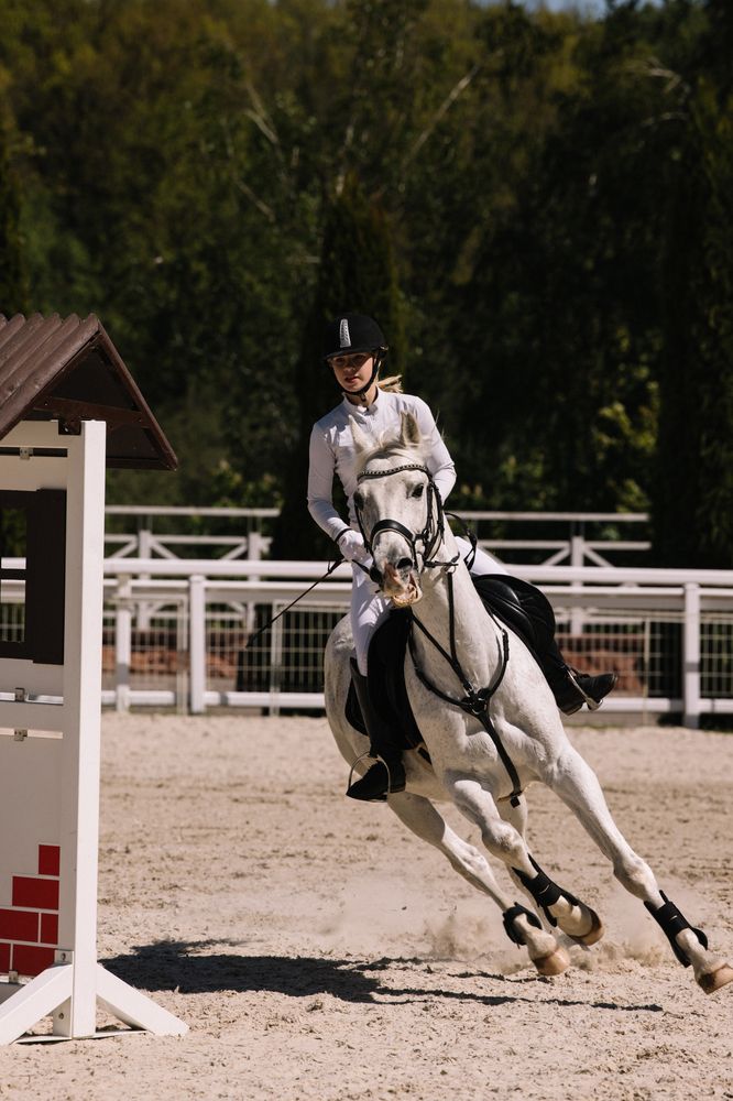 Photograph by Виктория Гаврикова