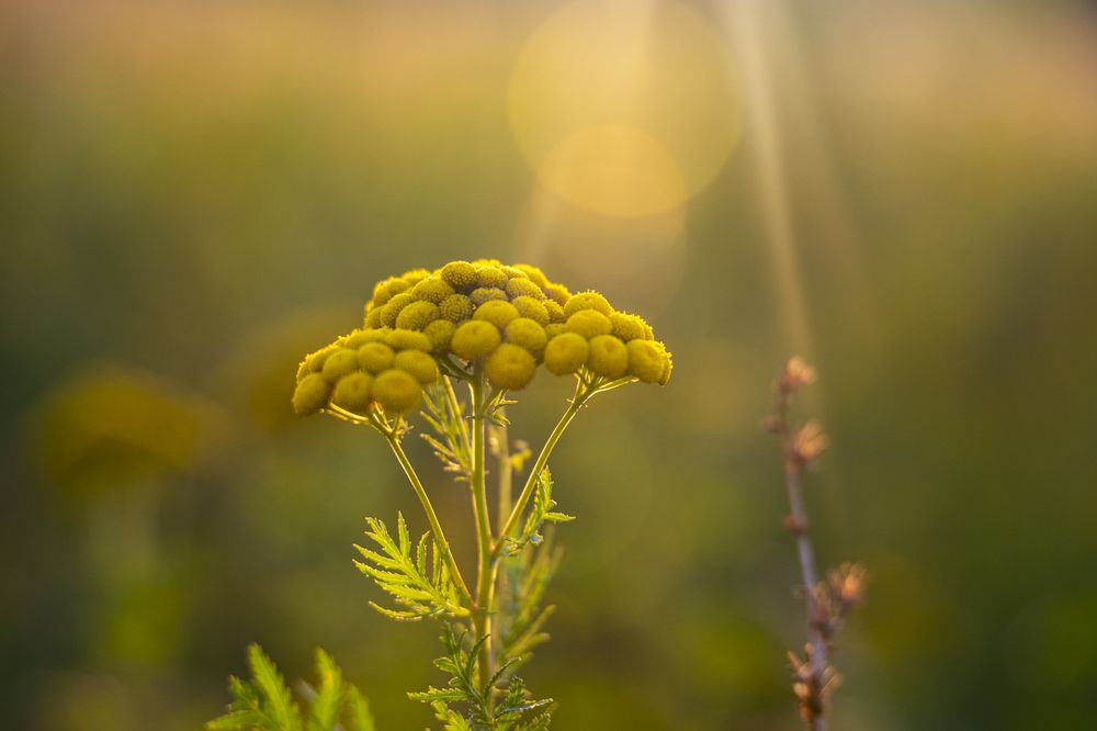 Photograph by Милена Полтавец